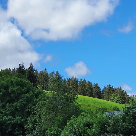 Ferienwohnung Hitz Hinterzarten Bagian luar foto