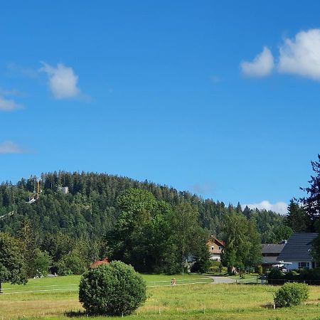 Ferienwohnung Hitz Hinterzarten Bagian luar foto