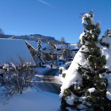 Ferienwohnung Hitz Hinterzarten Bagian luar foto