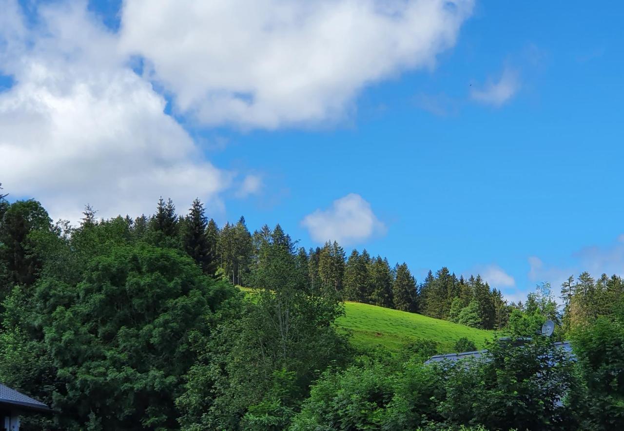 Ferienwohnung Hitz Hinterzarten Bagian luar foto