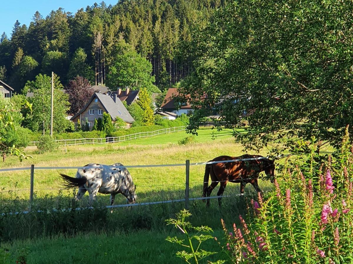 Ferienwohnung Hitz Hinterzarten Bagian luar foto